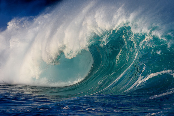 Shorebreak Beast