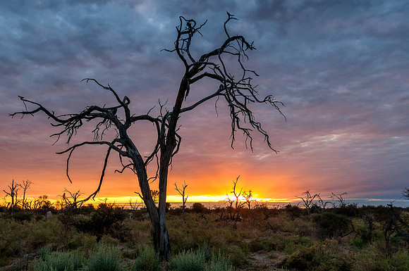 Botswana Sunset