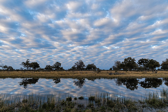 African Reflection